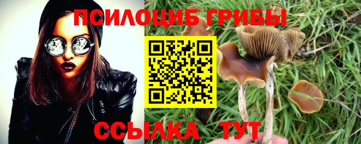 Псилоцибиновые грибы GOLDEN TEACHER Барнаул